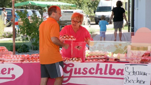 20150726_Kirtag_Pferdemarkt_Reifinger_Natternbach_(455)_web