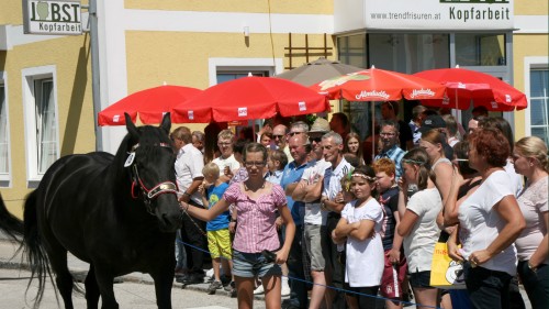 20150726_Kirtag_Pferdemarkt_SPÖ_Stand(293)_web